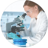 Научная документация